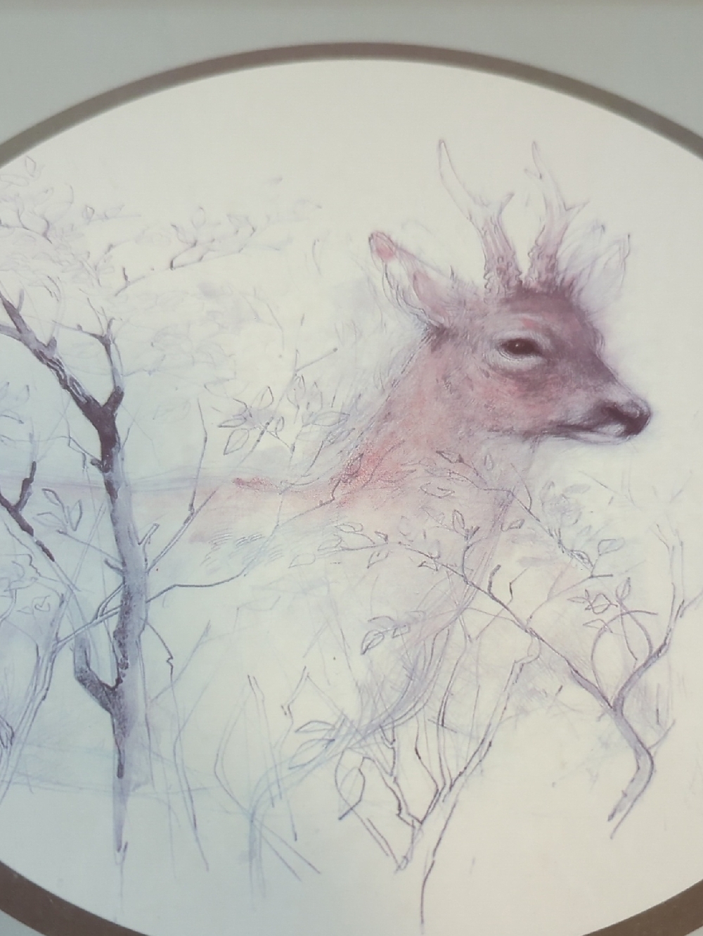 Lithograph Art Piece Sketch Of Deer In Woods Framed By Mads Stage Picture Matte